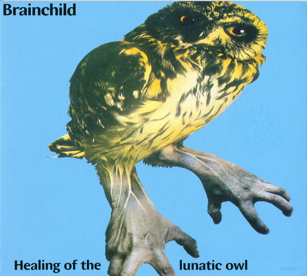 Healing Of The Lunatic Owl by Brainchild