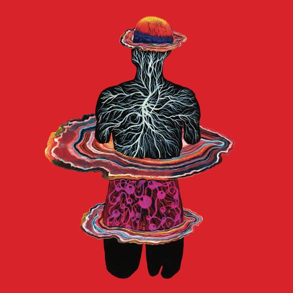 Circadian by Intervals