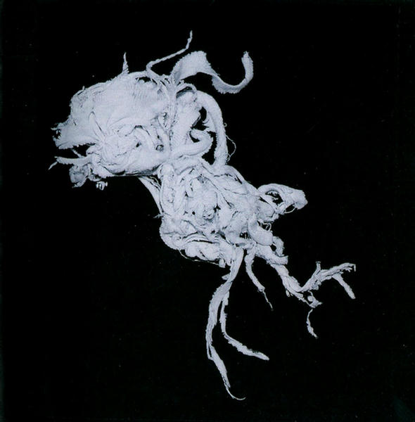 Light Damage by Light Damage