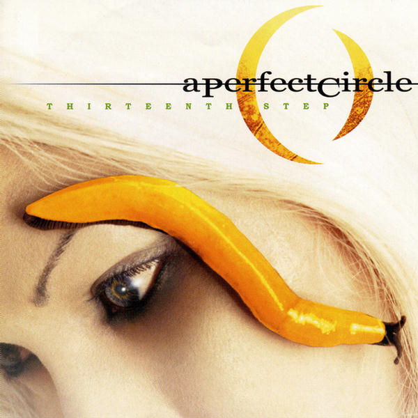 Thirteenth Step