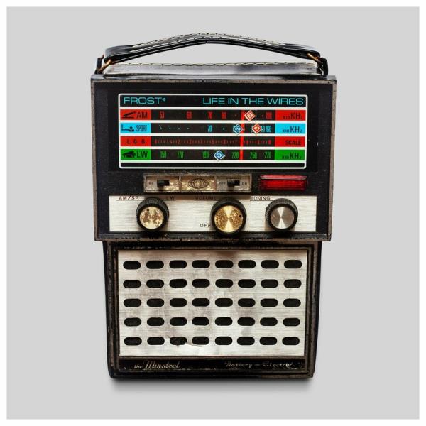 Life In The Wires by Frost*