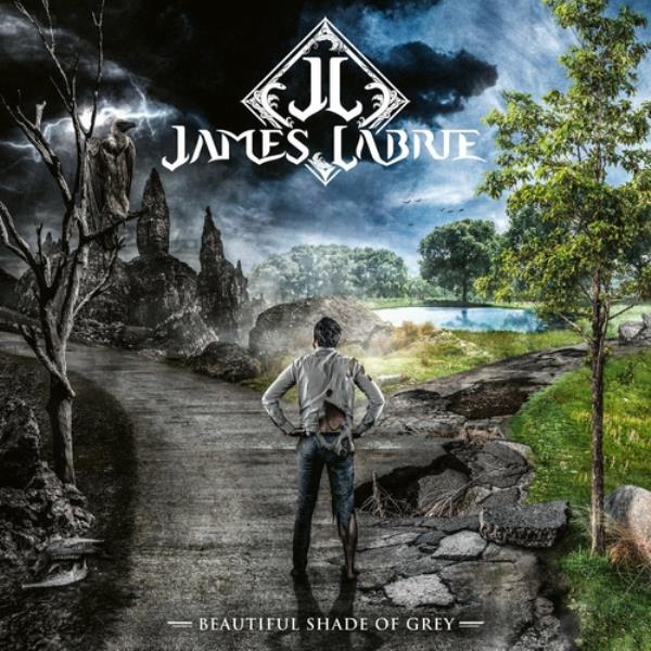 Beautiful Shade Of Grey by James LaBrie