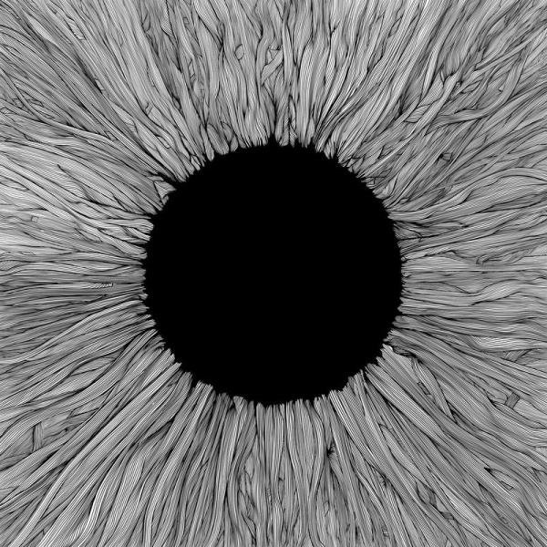 Witness by Vola