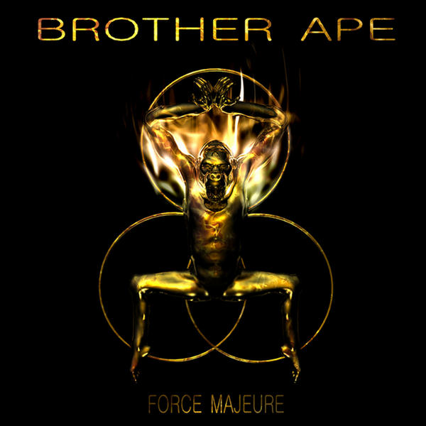 Force Majeure.