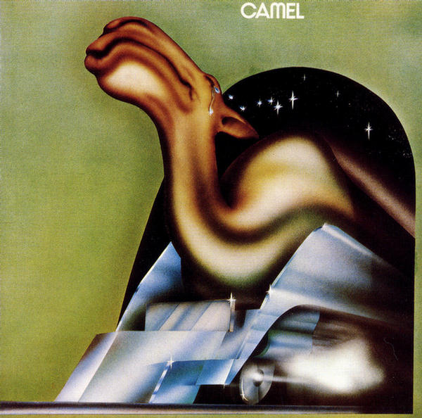 Camel
