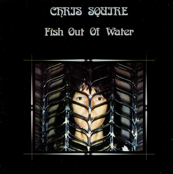 Fish out of Water