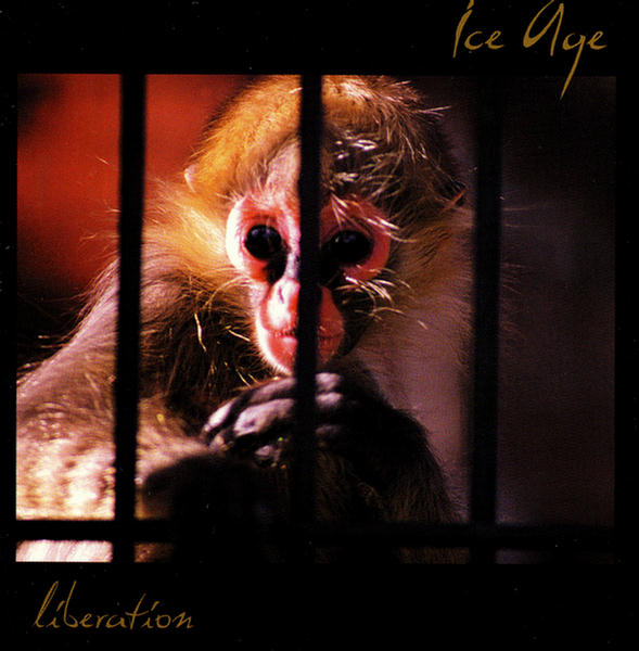 Liberation
