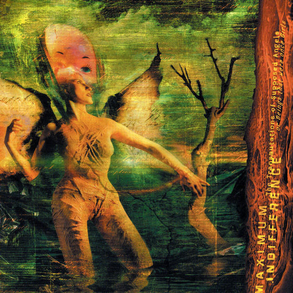 The Transmutations of Supposed Angels or Beings that were once Girls by Maximum Indifference