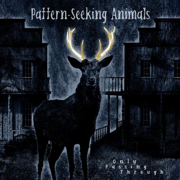 Only Passing Through (Bonus Track Edition) by Pattern-Seeking Animals
