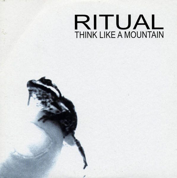 Think Like A Mountain