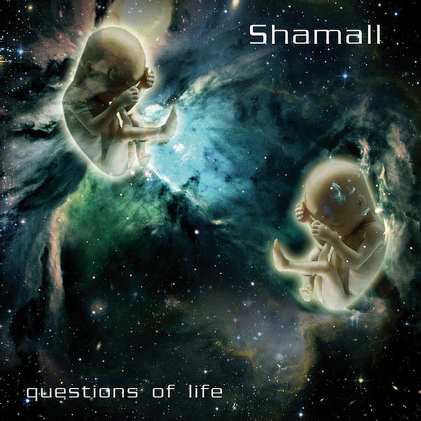 Questions Of Life by Shamall