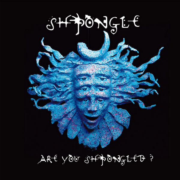 Are You Shpongled? by Shpongle