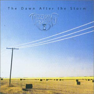 The Dawn After the Storm