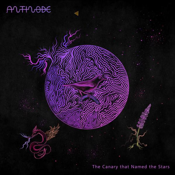 The Canary That Named The Stars